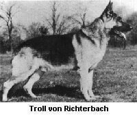 Troll von Richterbach