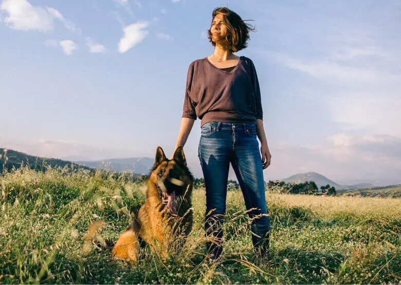 The Pros and Cons of Owning a German Shepherd