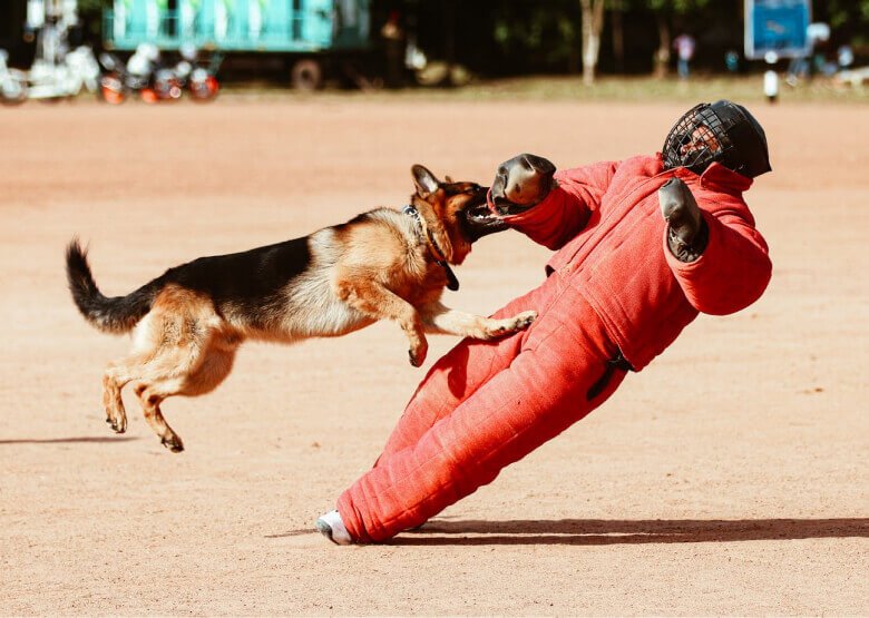 GSD Attacking