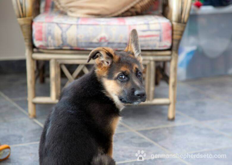 Small GSD