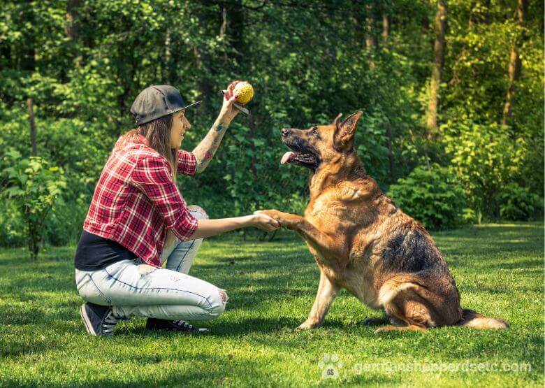 GSD training with a ball