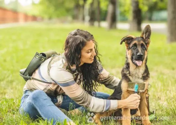 how to stop german shepherd from shedding hair