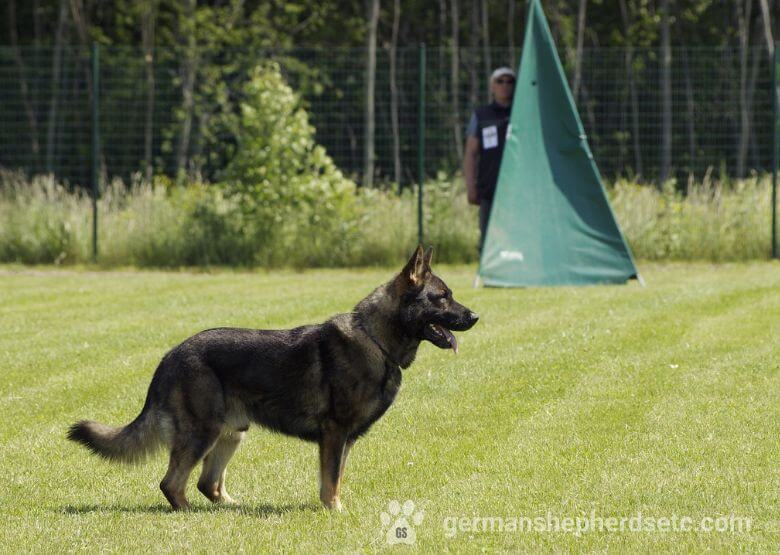 West working line GSD